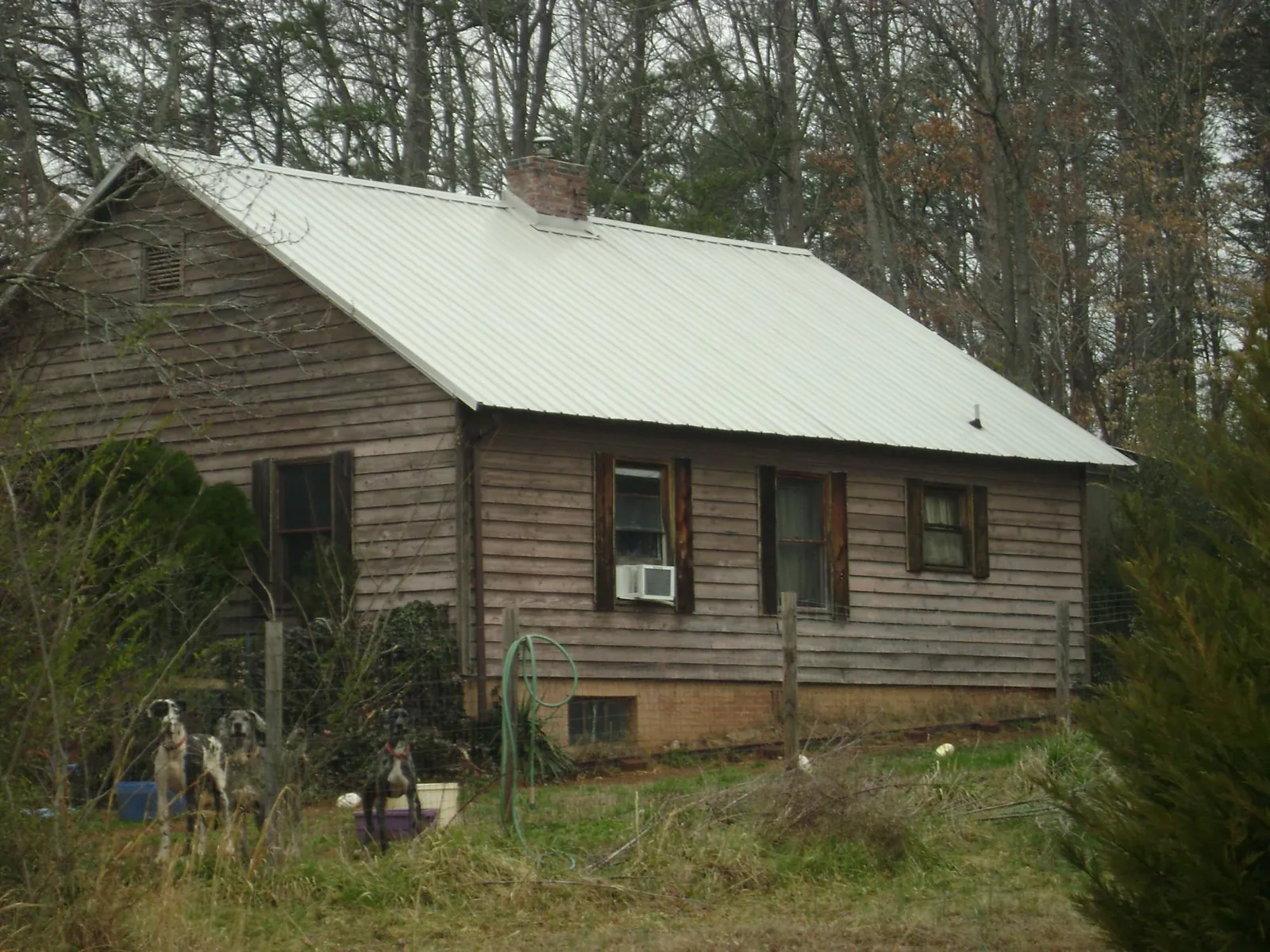 White metal roof on an old wood sided farmhouse, from a Metal Roof Installation job in Newton Highlands